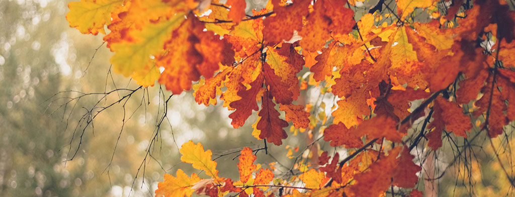 Childrens’ Choir Practice